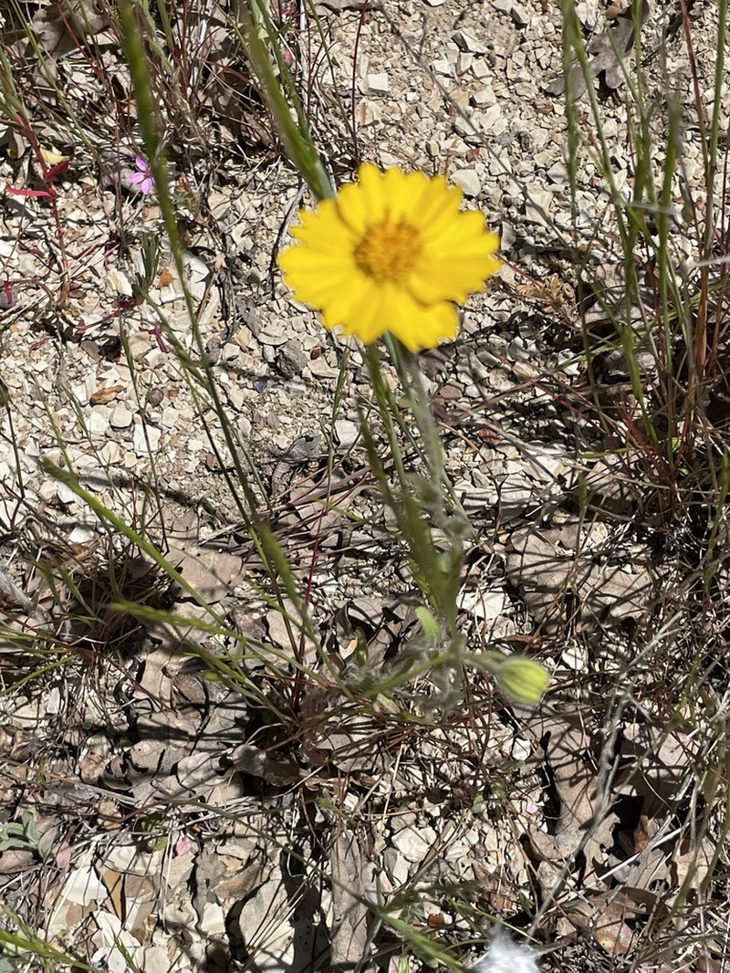 Colusa Tidytips photo 5