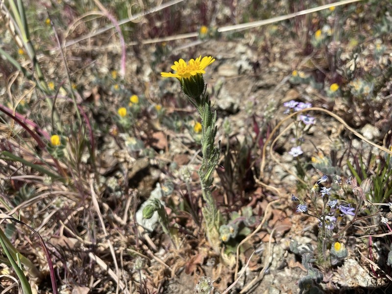 Colusa Tidytips photo 7