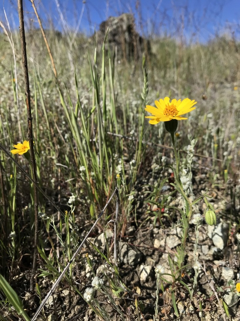 Colusa Tidytips photo 8