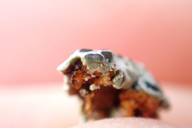 Rim Lichen photo 2