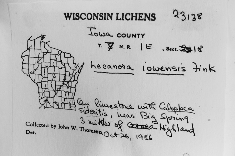 Iowa Rim Lichen