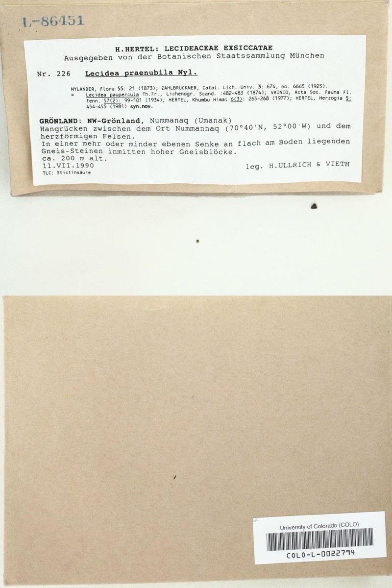 Lecidea praenubila photo 2