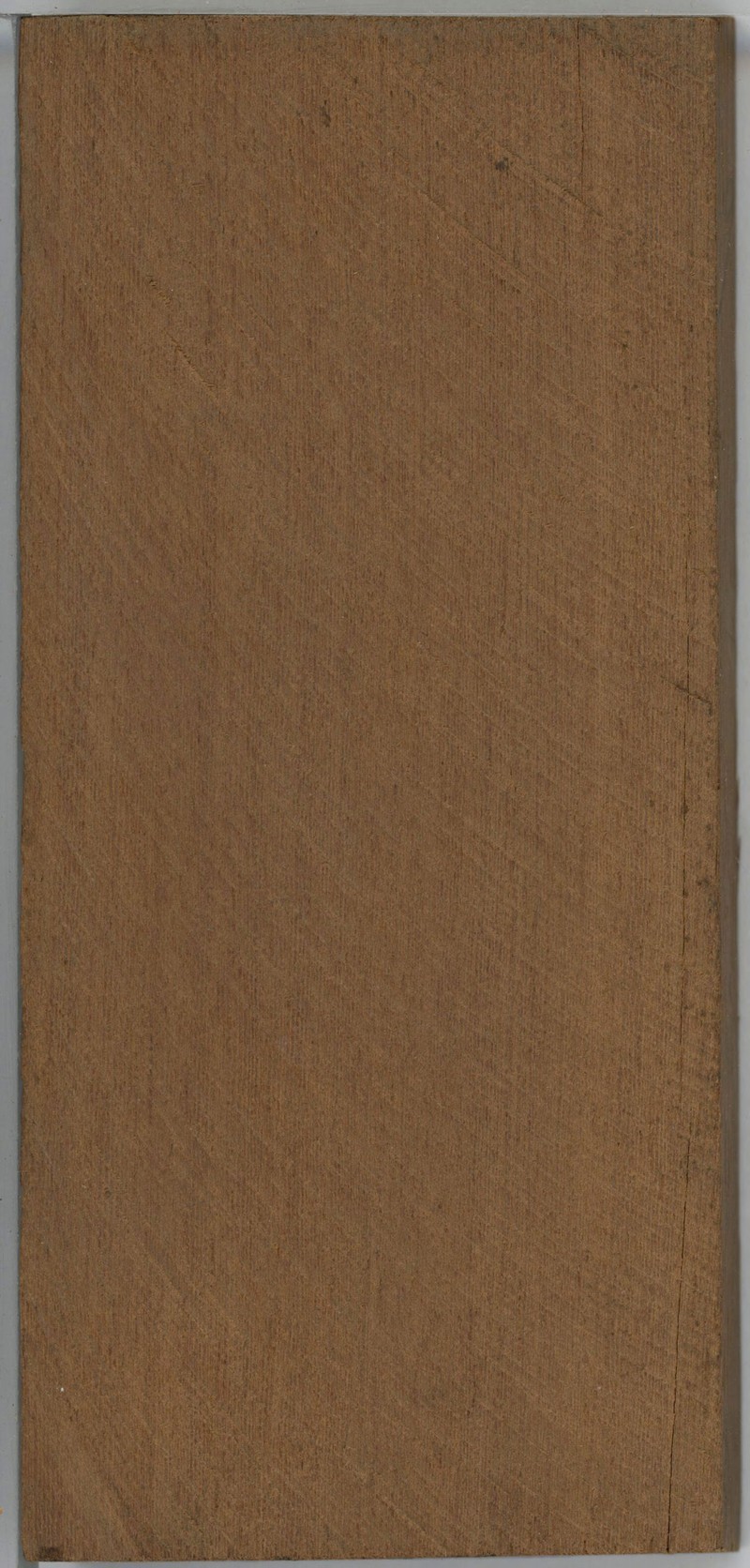 Leplaea thompsonii