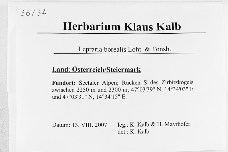 Lepraria borealis