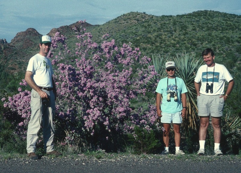 Texas Barometer Bush photo 2