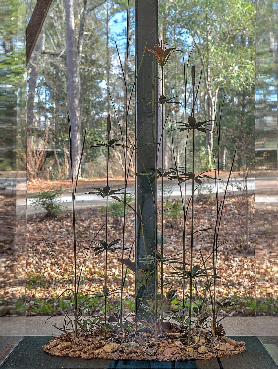 Wood Lily photo 2