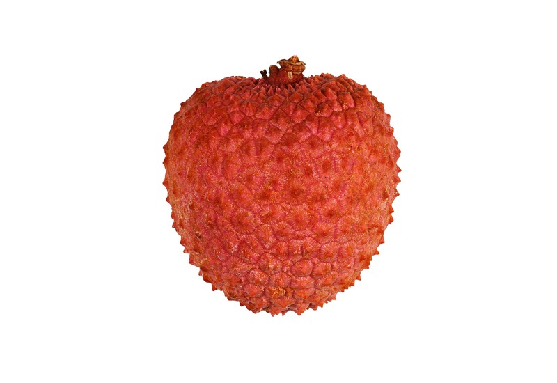 Lychee photo 5