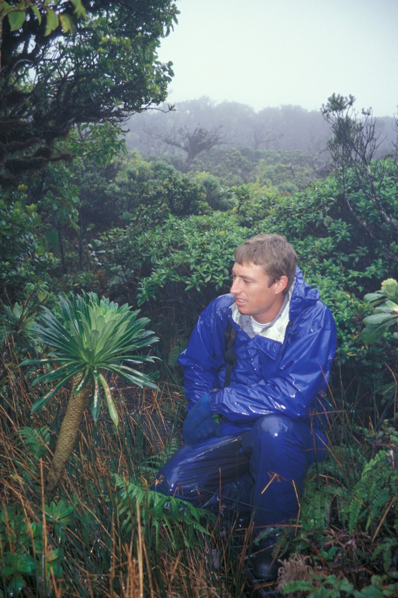 Bog Lobelia photo 5