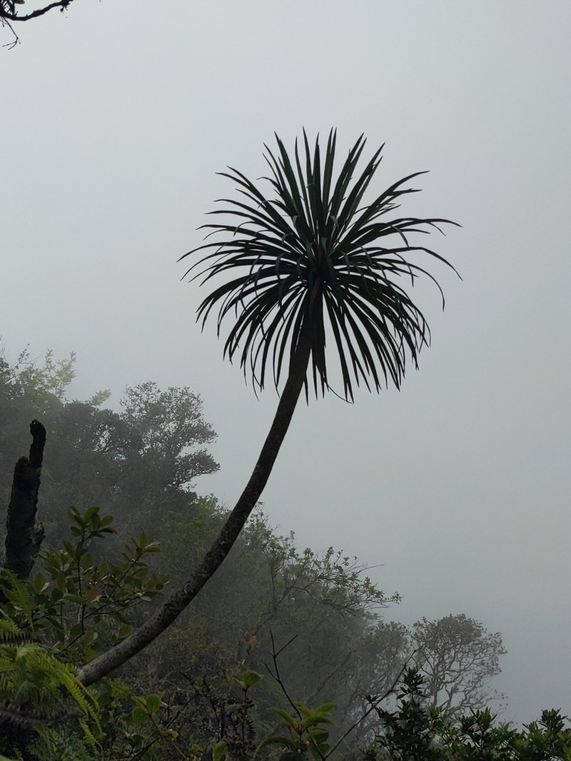 Panaunau photo 4