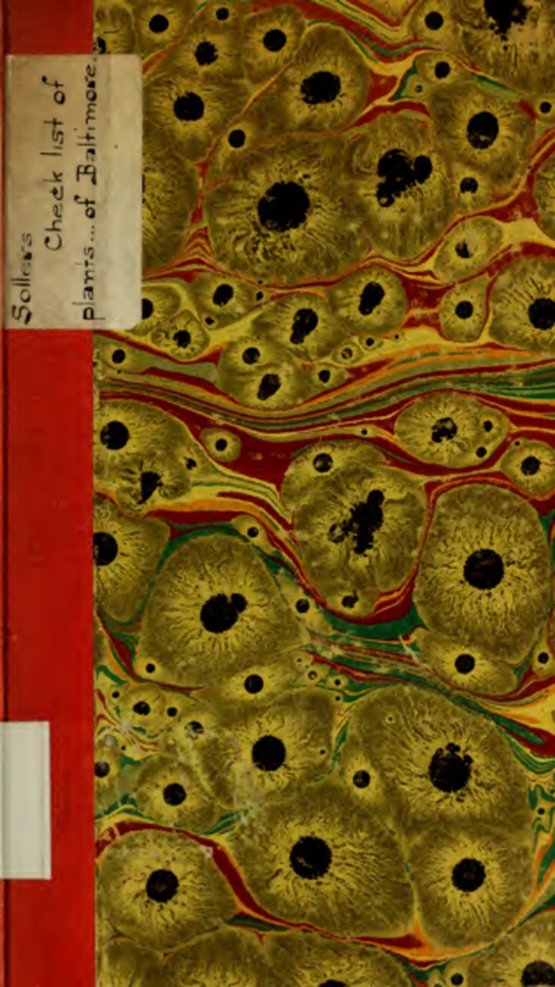 Curtiss' Primrose-Willow