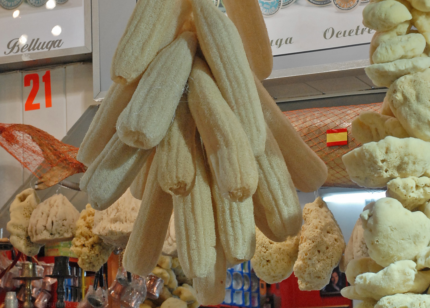 Sponge Gourd photo 5
