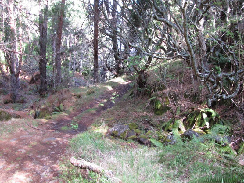 Pukamole photo 3