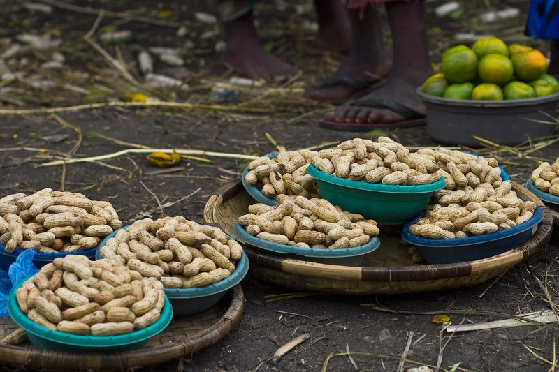 Geocarpa Groundnut