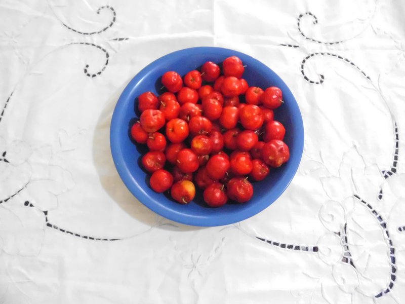 Barbados Cherry photo 6