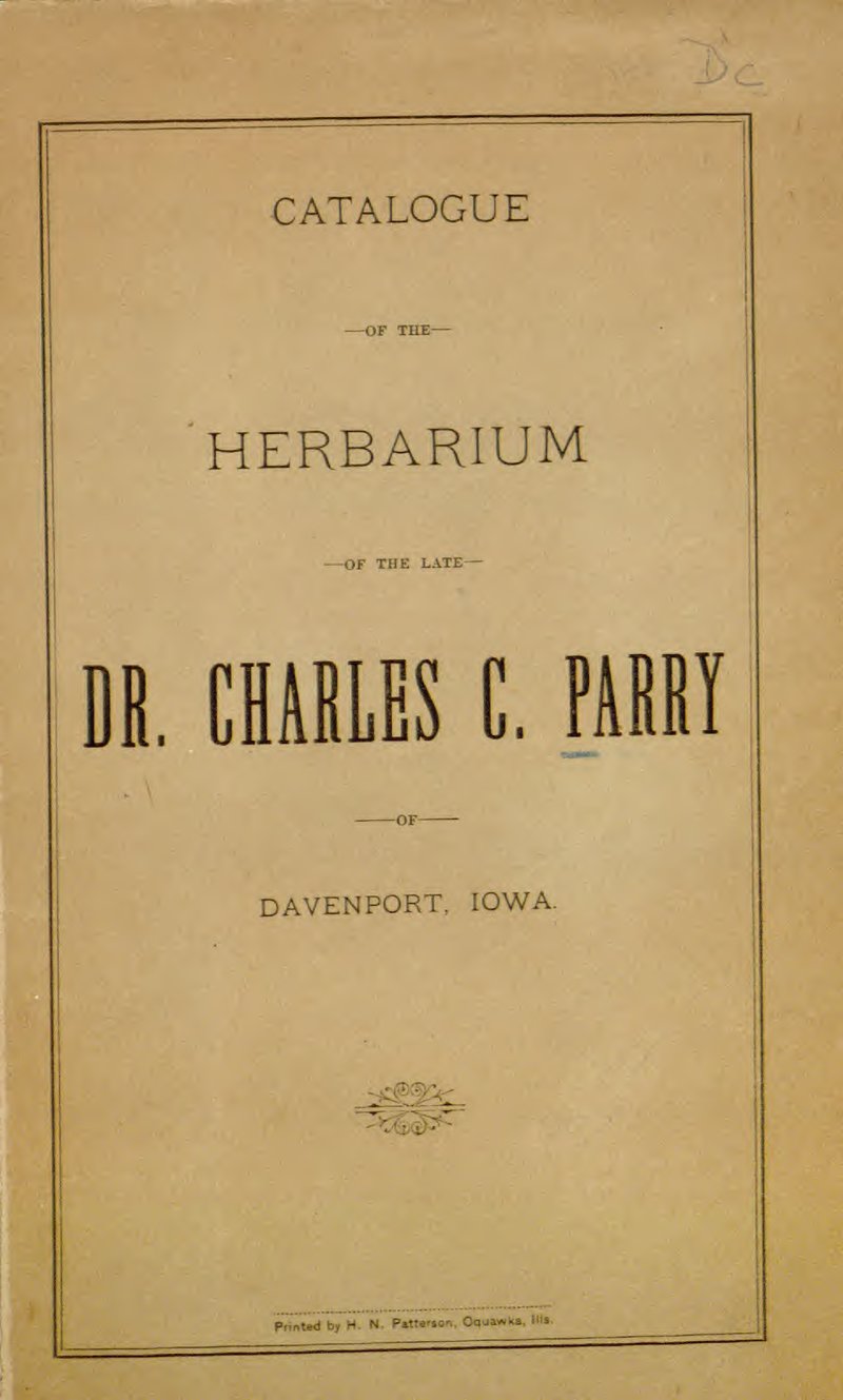 Wright's False Mallow