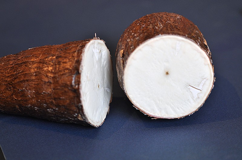 Cassava photo 5
