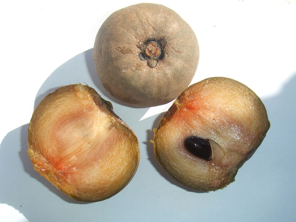 Sapodilla photo 5