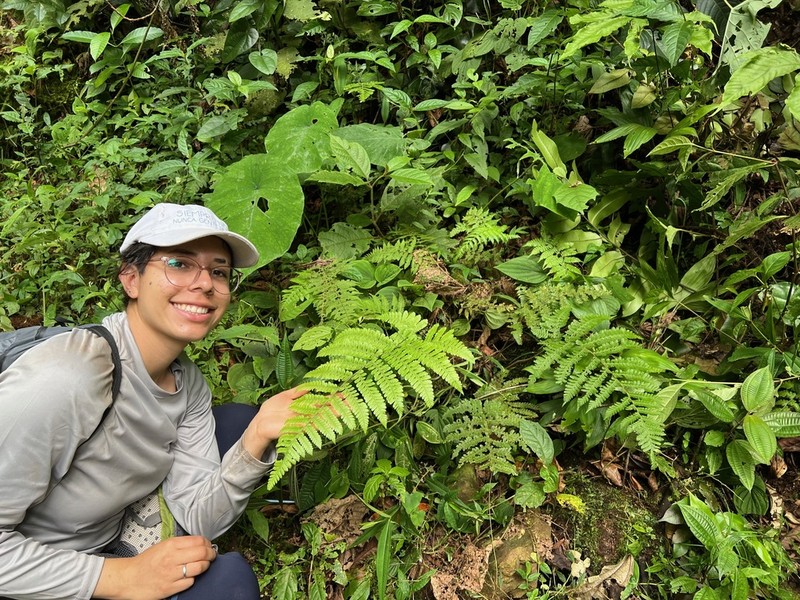 Megalastrum andicola photo 5