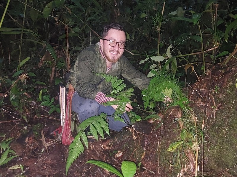 Megalastrum pubescens photo 2