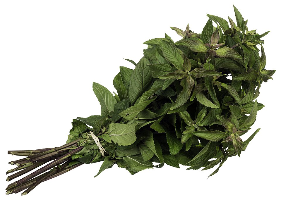 Peppermint photo 6