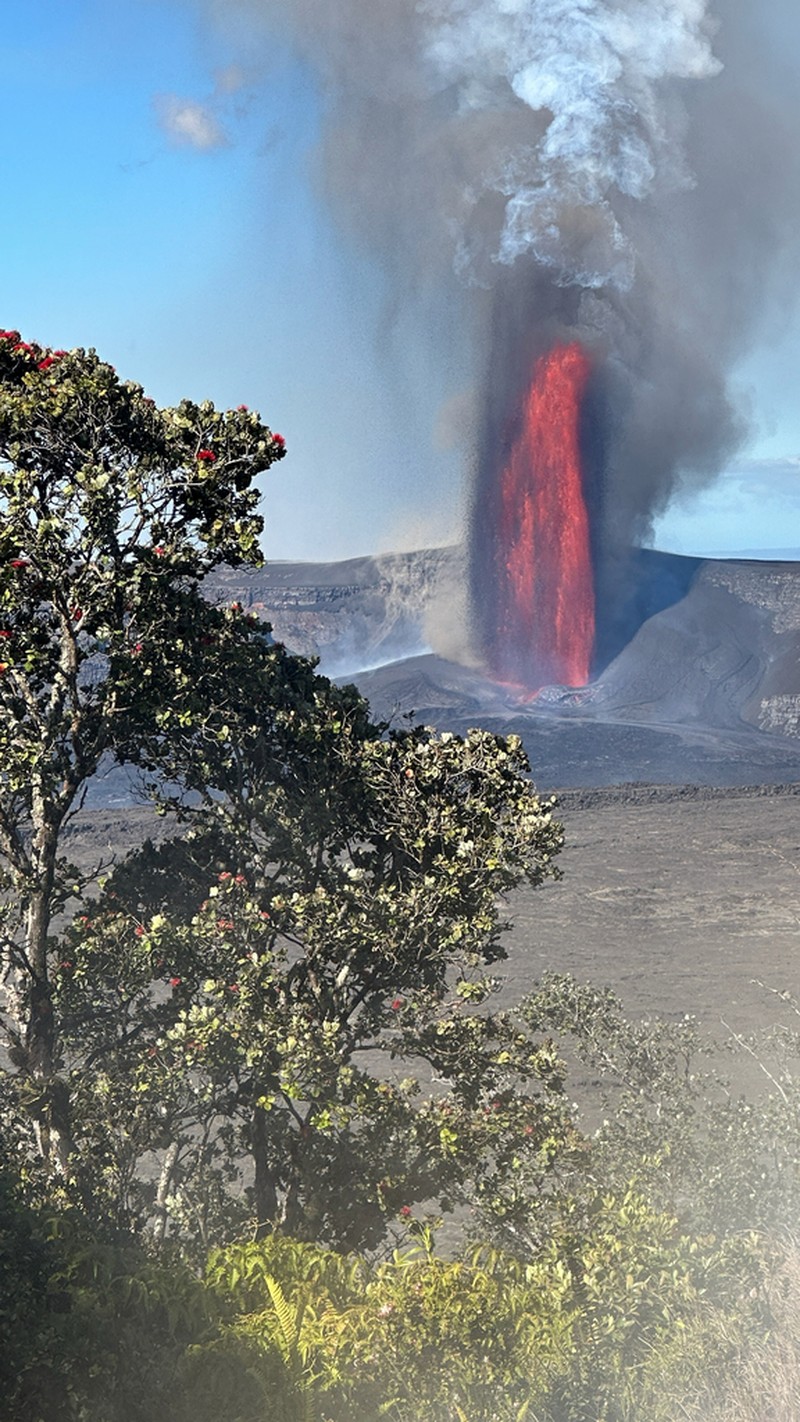 'Ohi'A Lehua photo 3