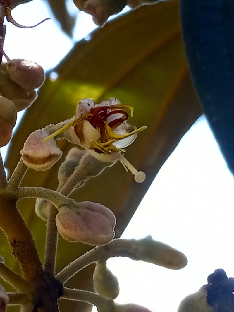 Camasey Cuatrocanales photo 8