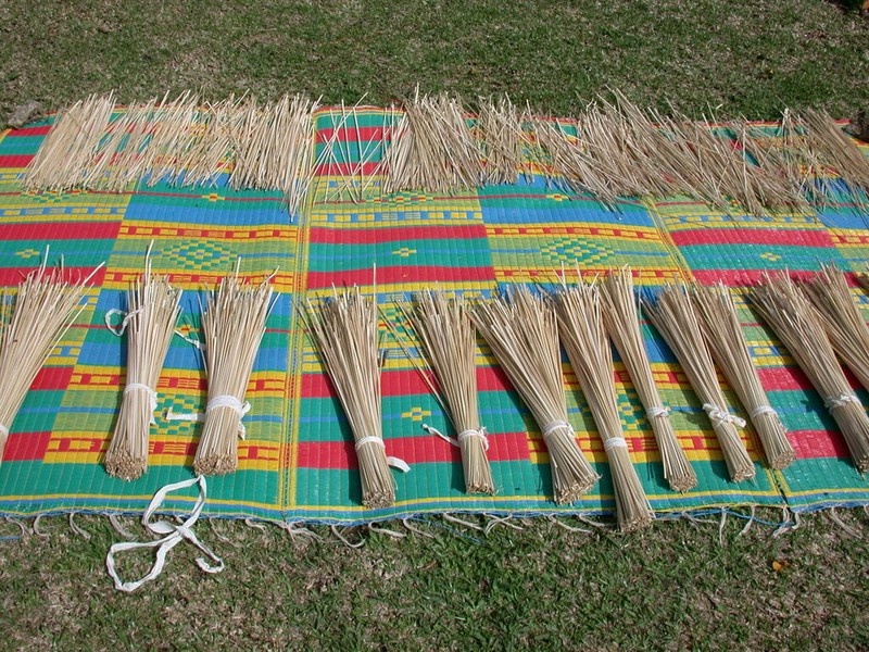 Pacific Island Silvergrass photo 3