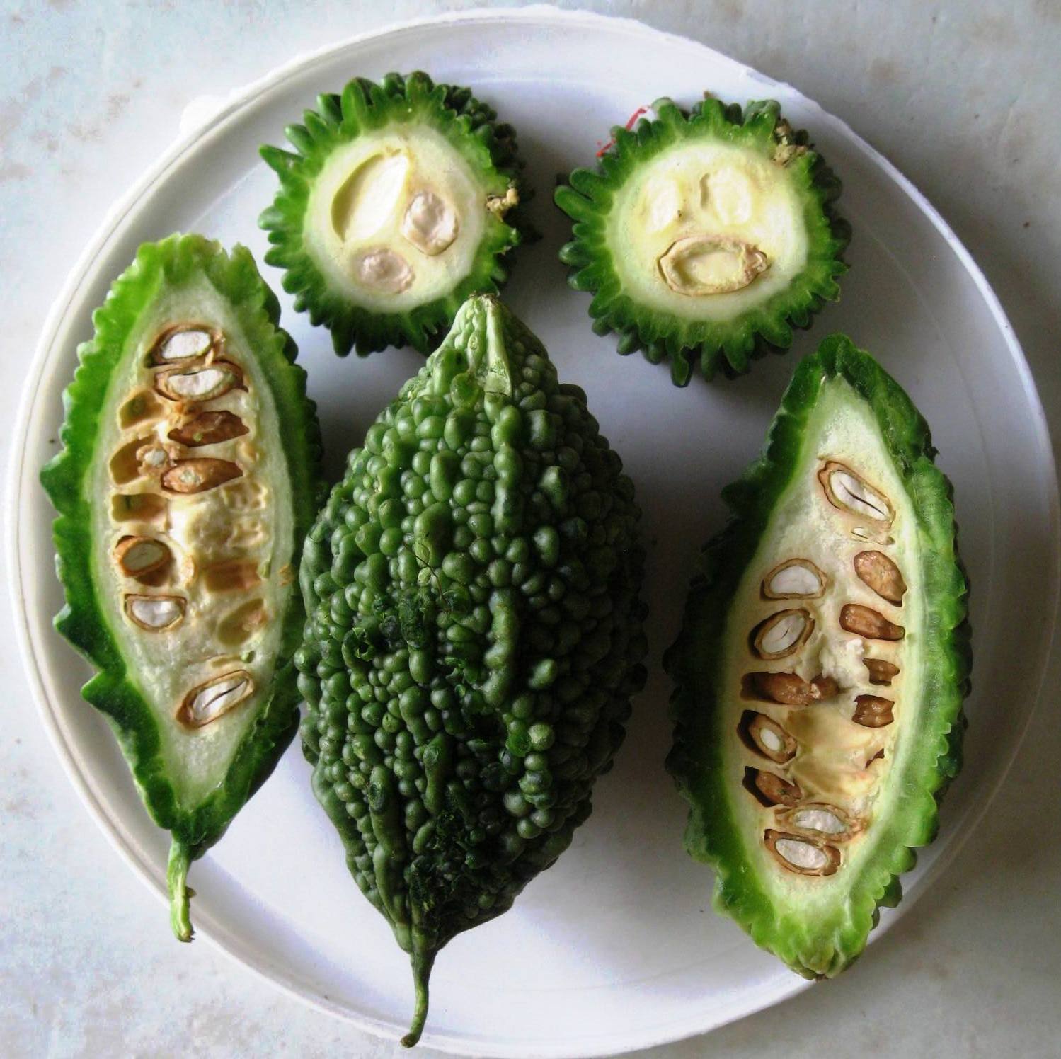 Balsampear photo 2