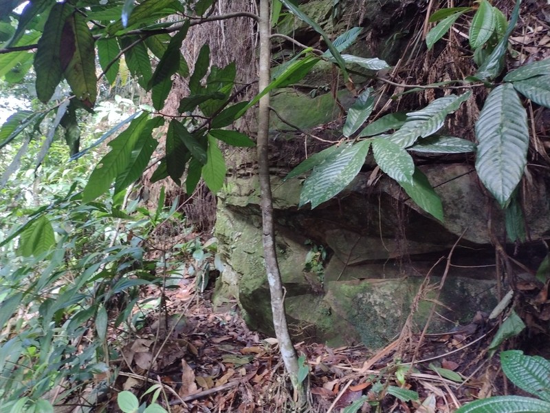 Monoon hypogaeum