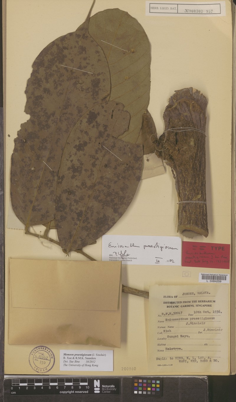 Monoon praestigiosum