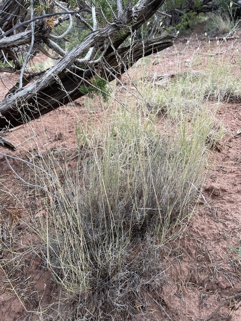 Cliff Muhly photo 2