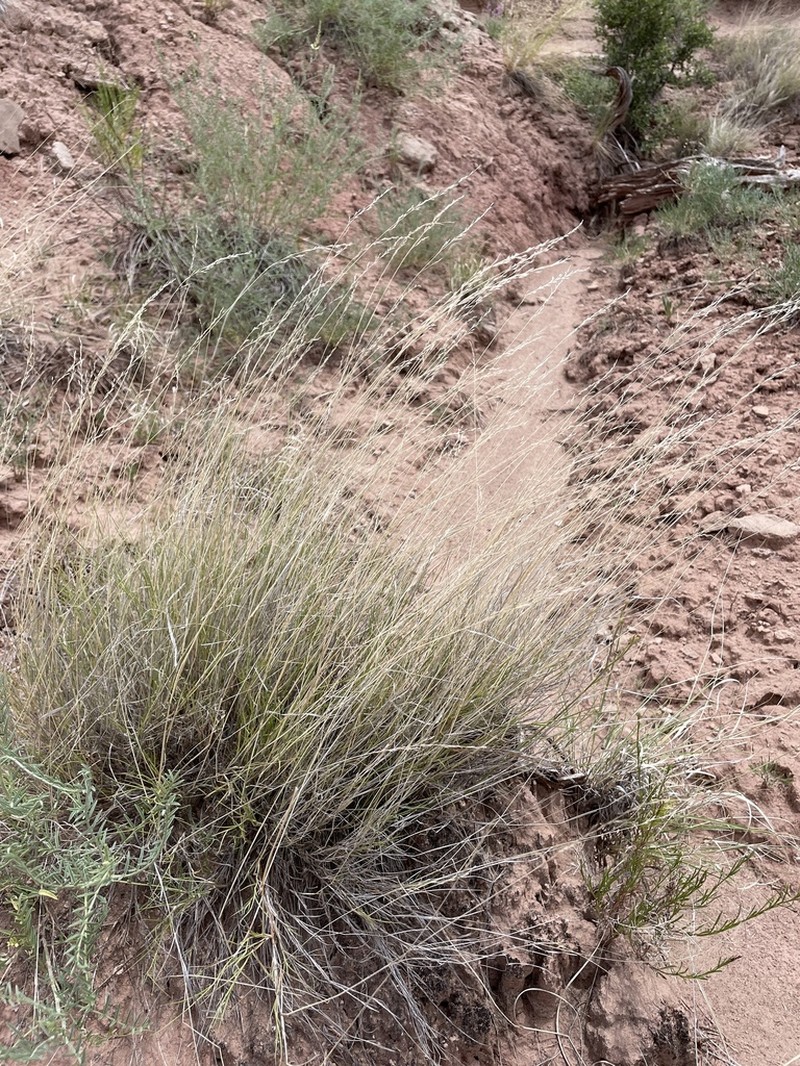 Cliff Muhly photo 3