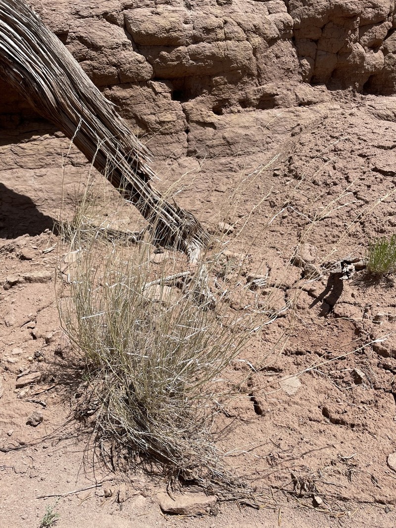Cliff Muhly photo 5
