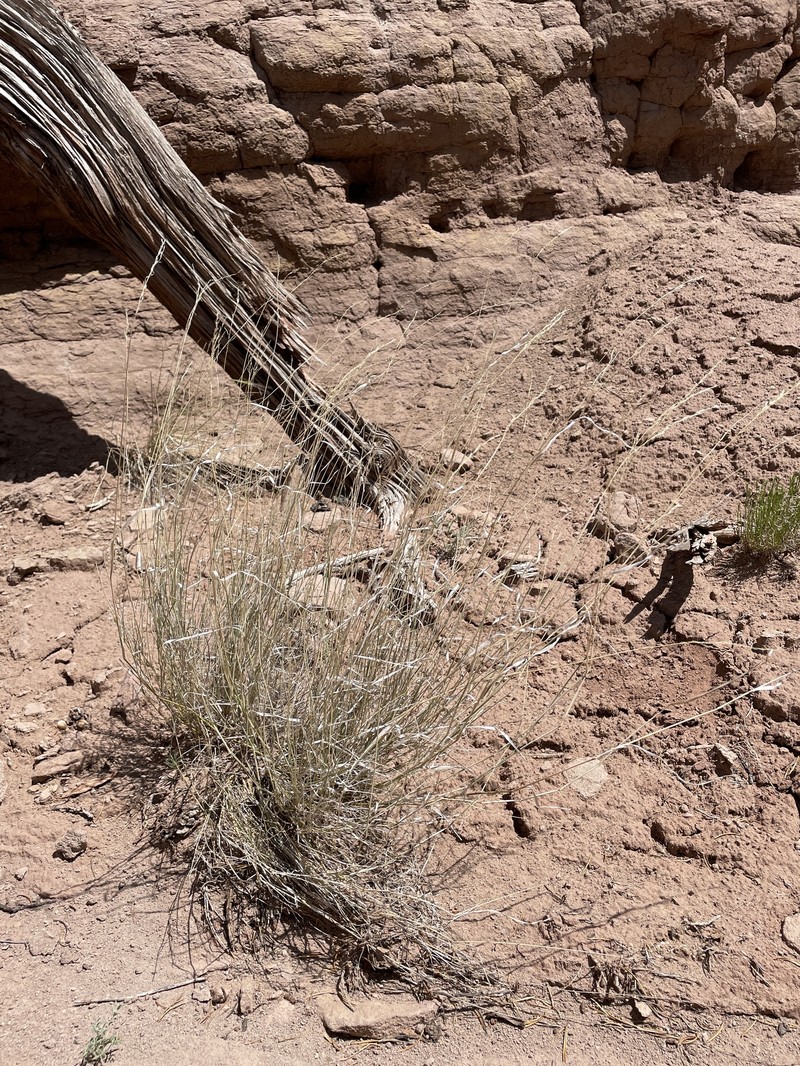 Cliff Muhly photo 7