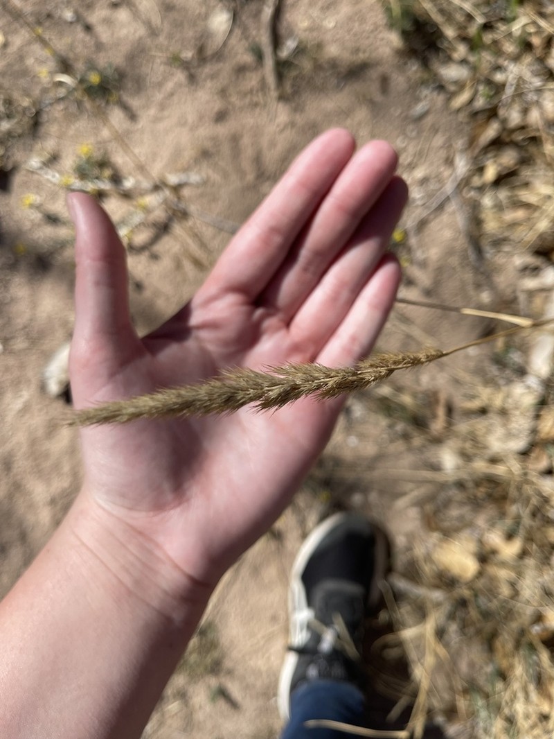 Marsh Muhly photo 4