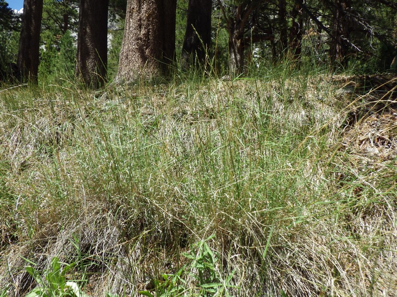 Mat Muhly photo 2