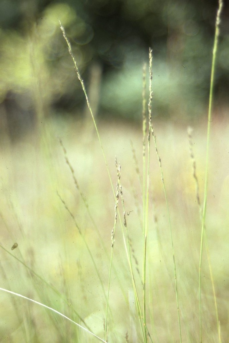 Mat Muhly photo 3