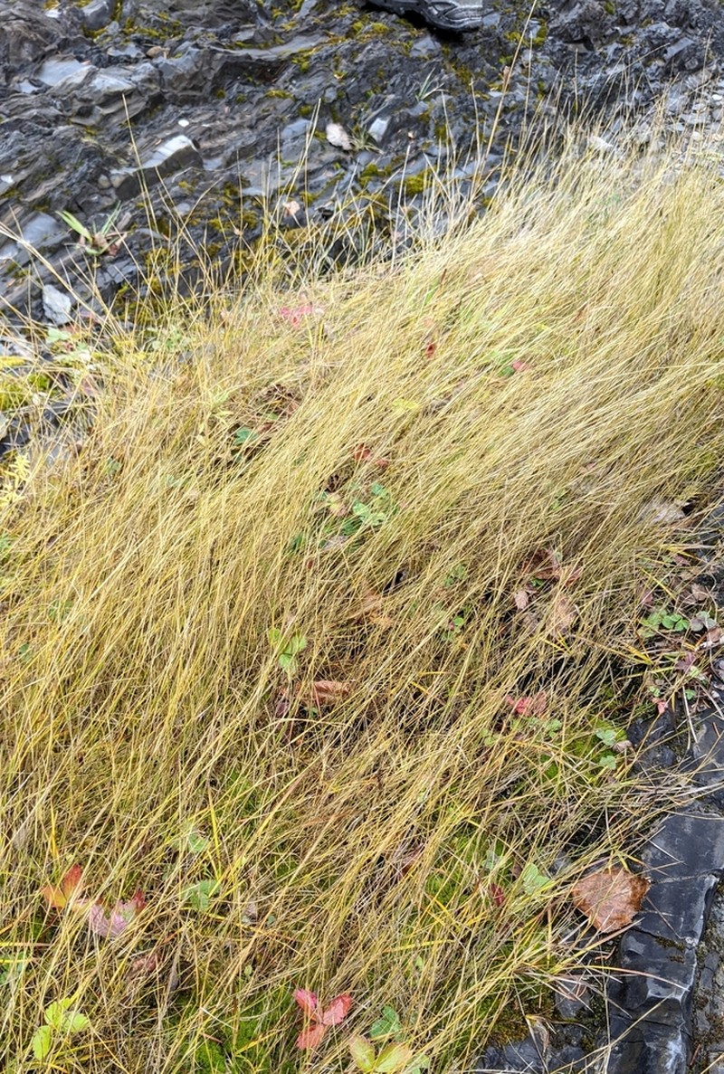 Mat Muhly photo 7
