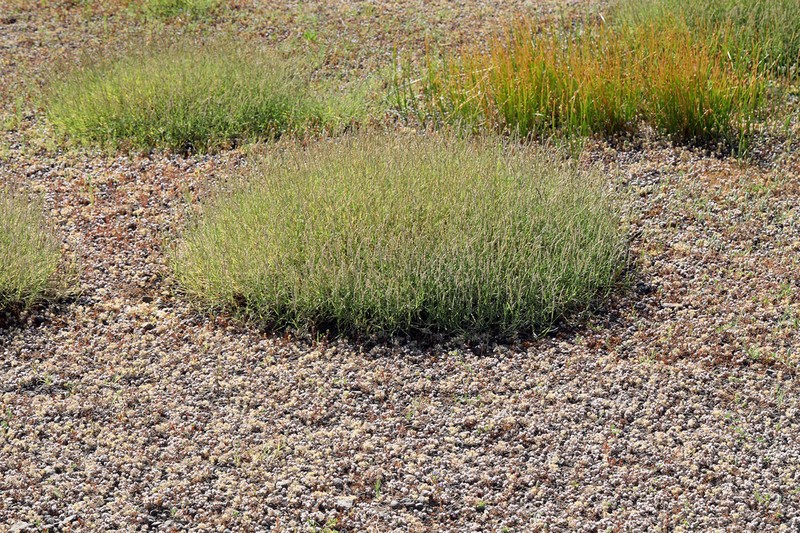 Mat Muhly photo 8