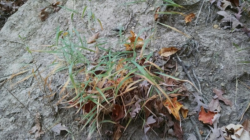 Rock Muhly photo 4