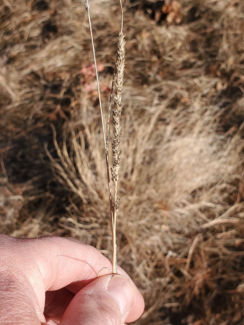 Spike Muhly photo 3