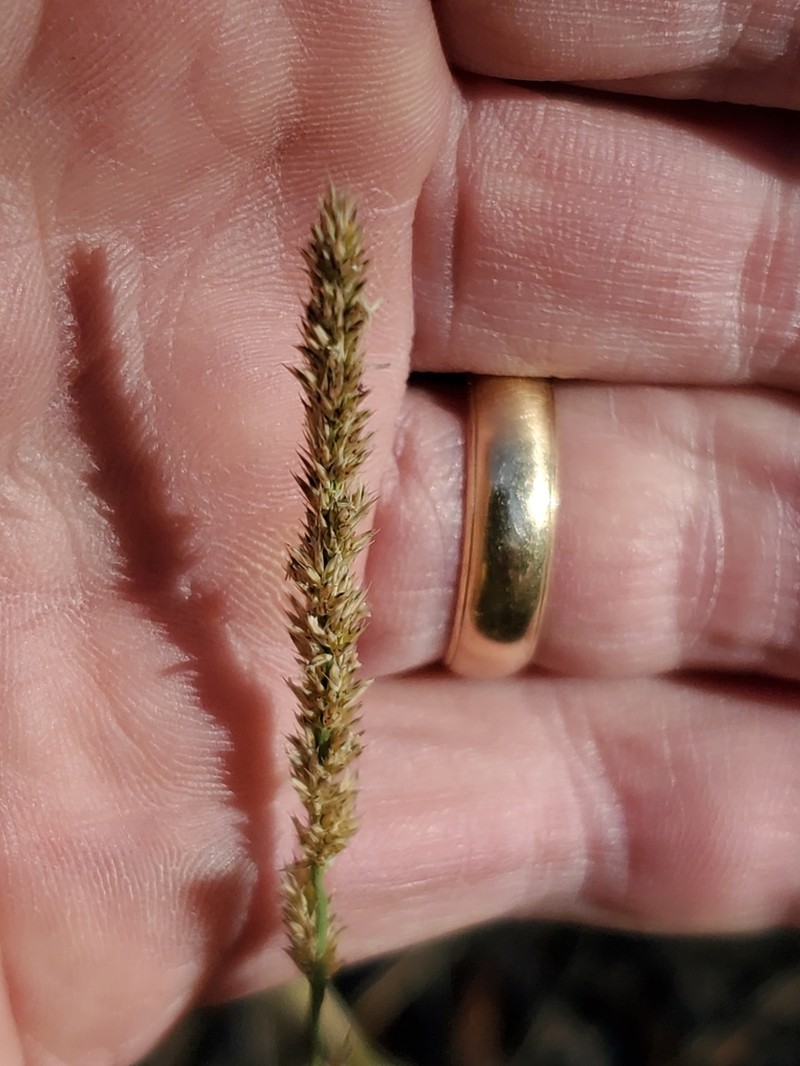 Spike Muhly photo 4