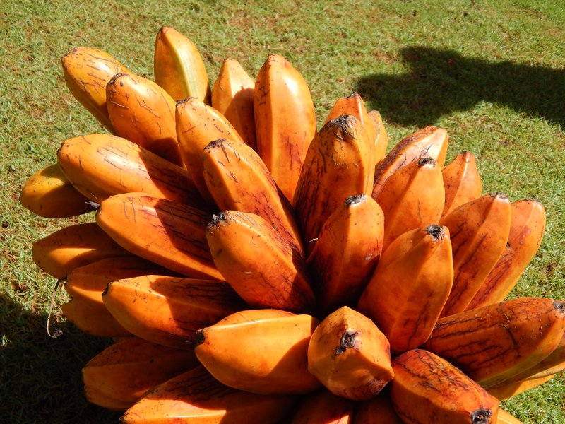 Fe'I Banana photo 6