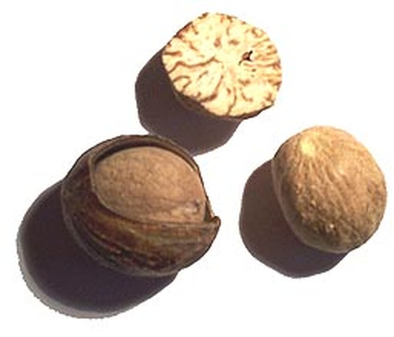Silverleaf Nutmeg photo 4