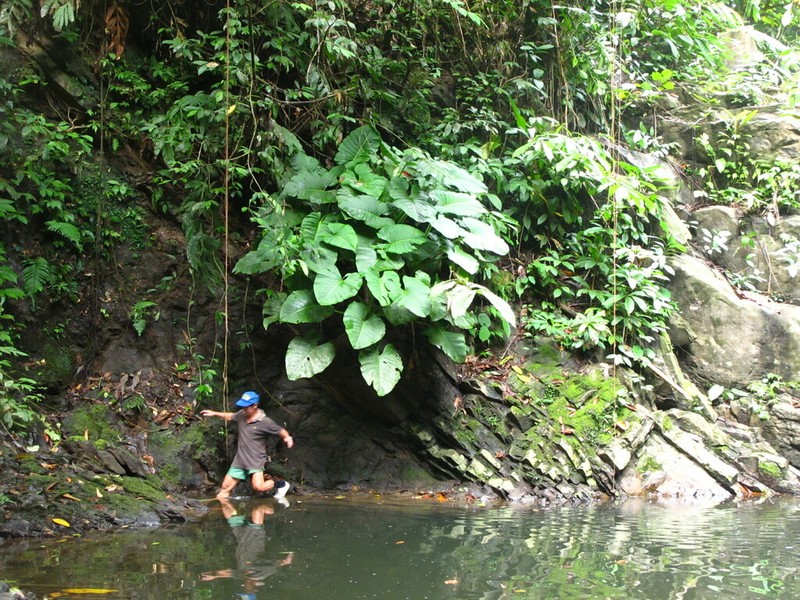 Nabalu corneri photo 6