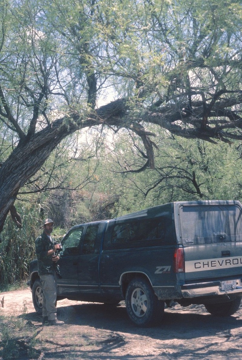 Honey Mesquite photo 2