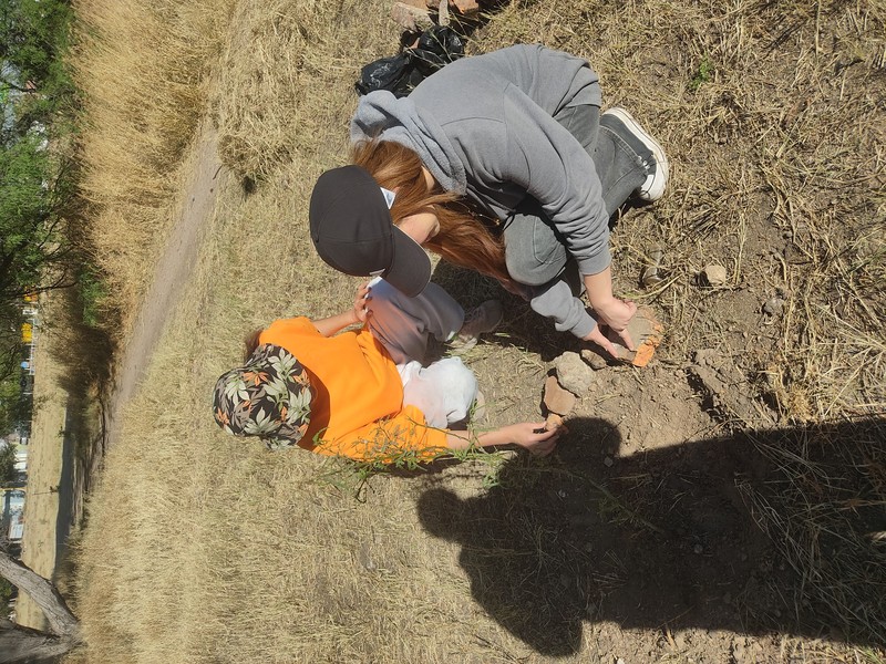 Mesquite photo 6