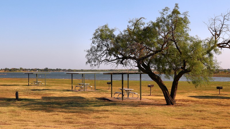 Mesquite photo 8