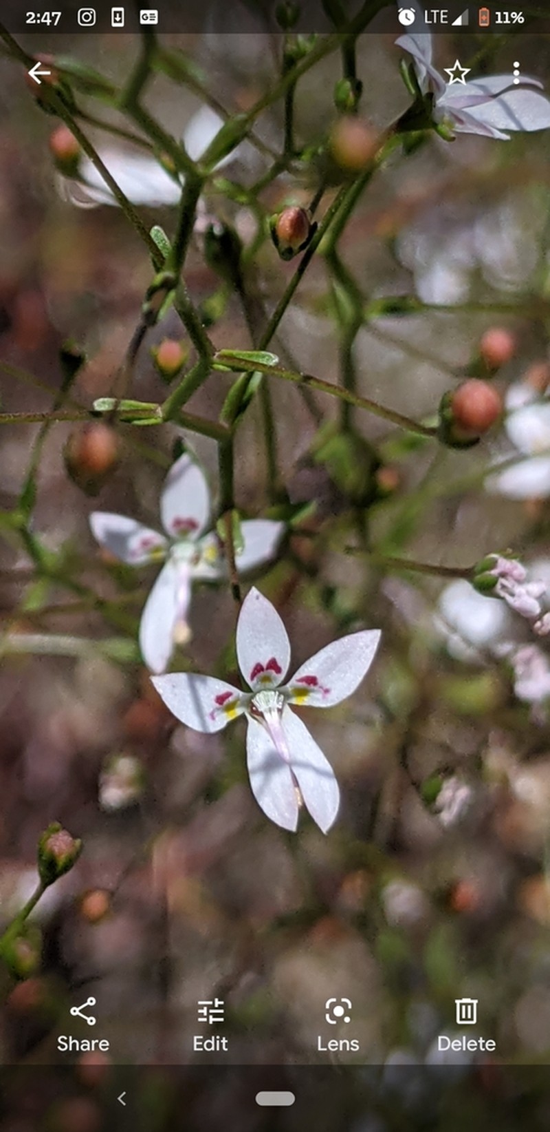 Sierra Threadplant