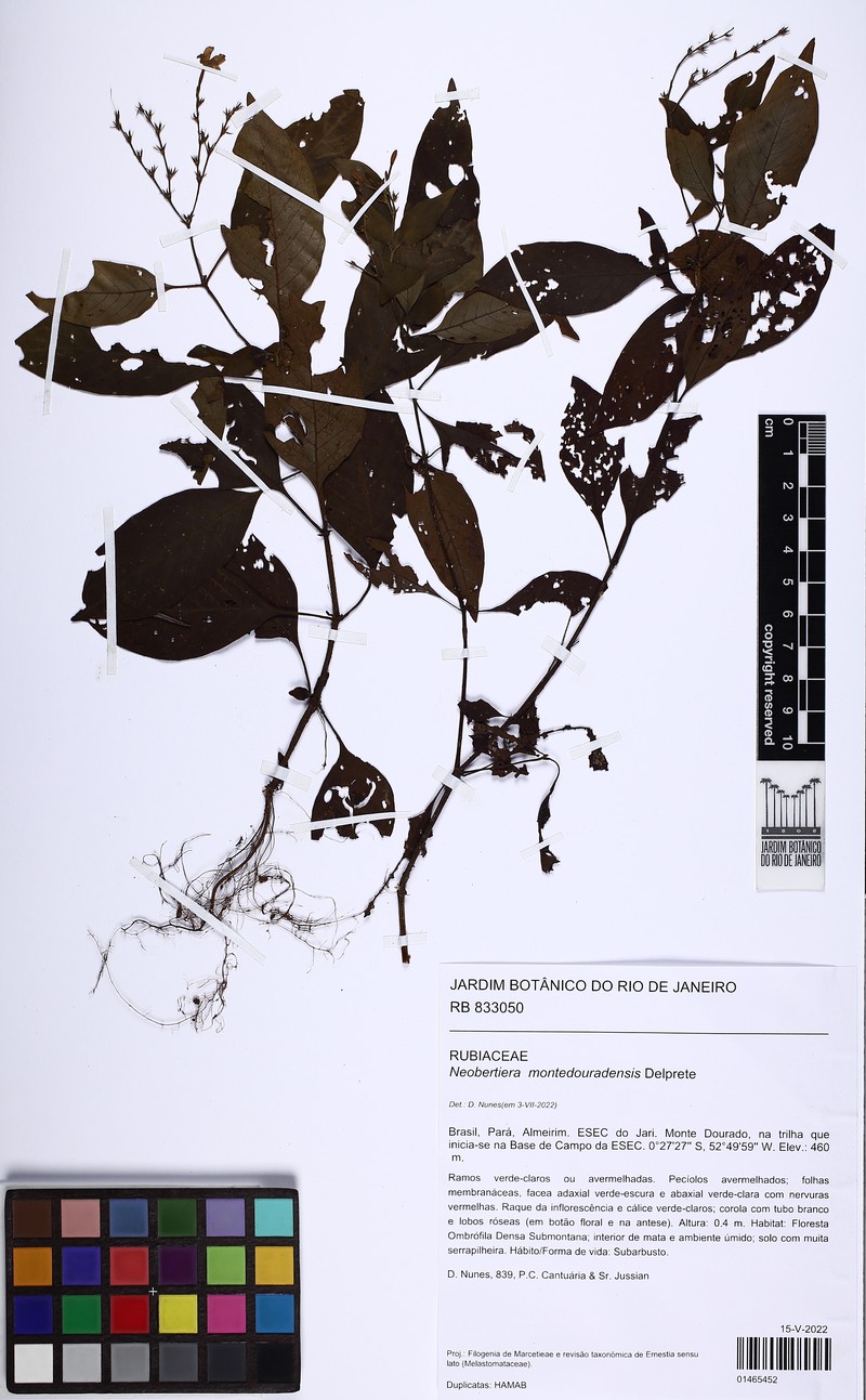 Neobertiera montedouradensis